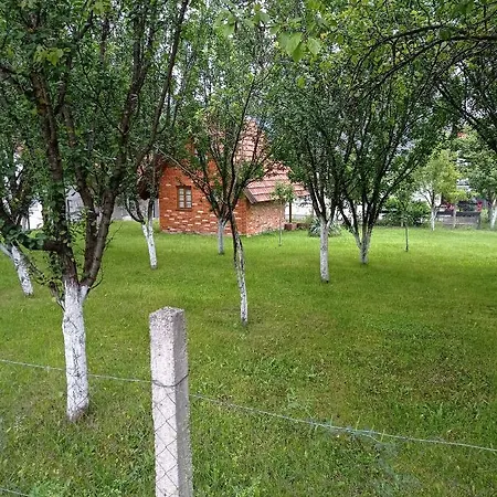 Zlaja Bihac